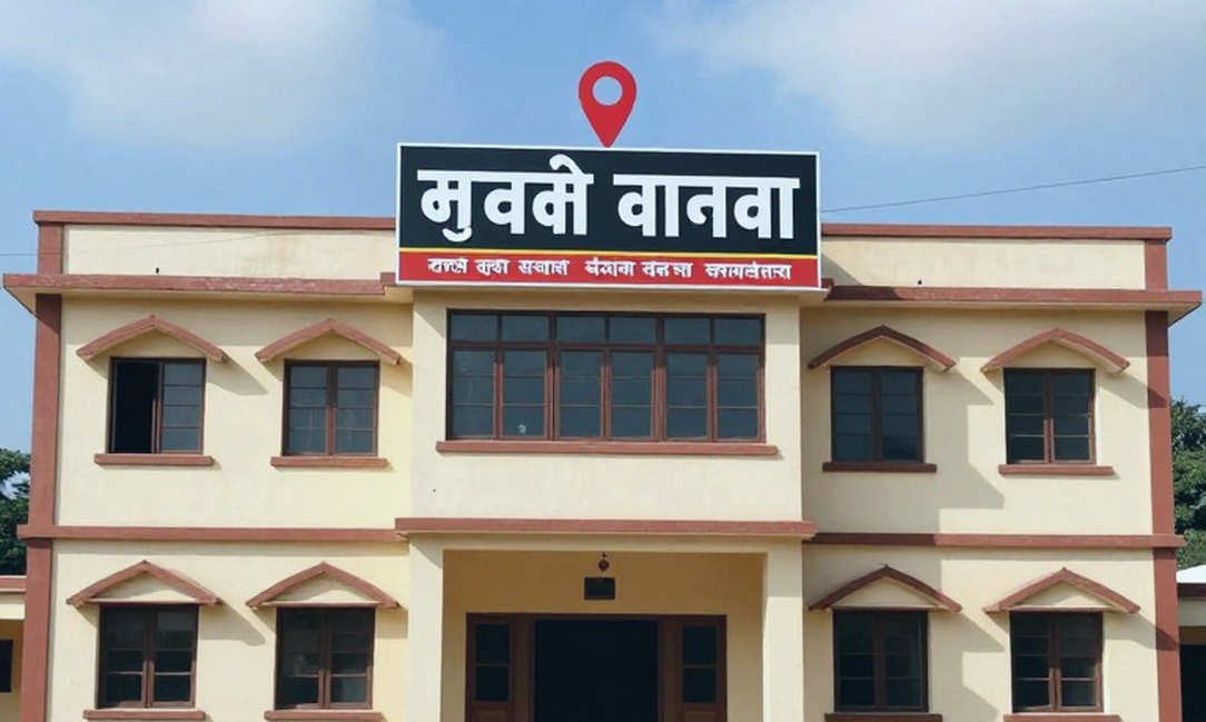 नीलामी की खिड़की: कबड्डी में दाम और दम का लेजर